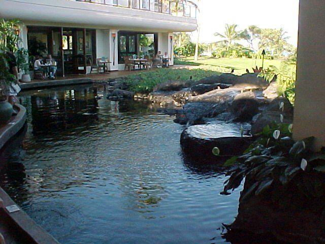 Outrigger Waikoloa Koi Pond - Oahu HI - Pacific AquaScapes