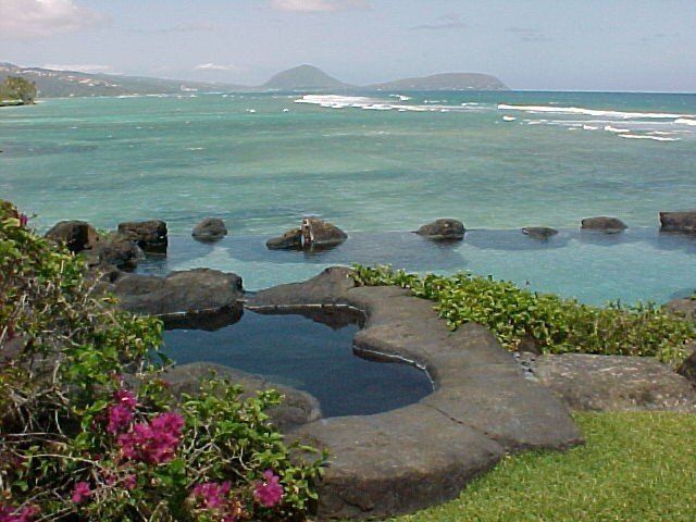 Reynolds Neg - Oahu HI - Pacific AquaScapes
