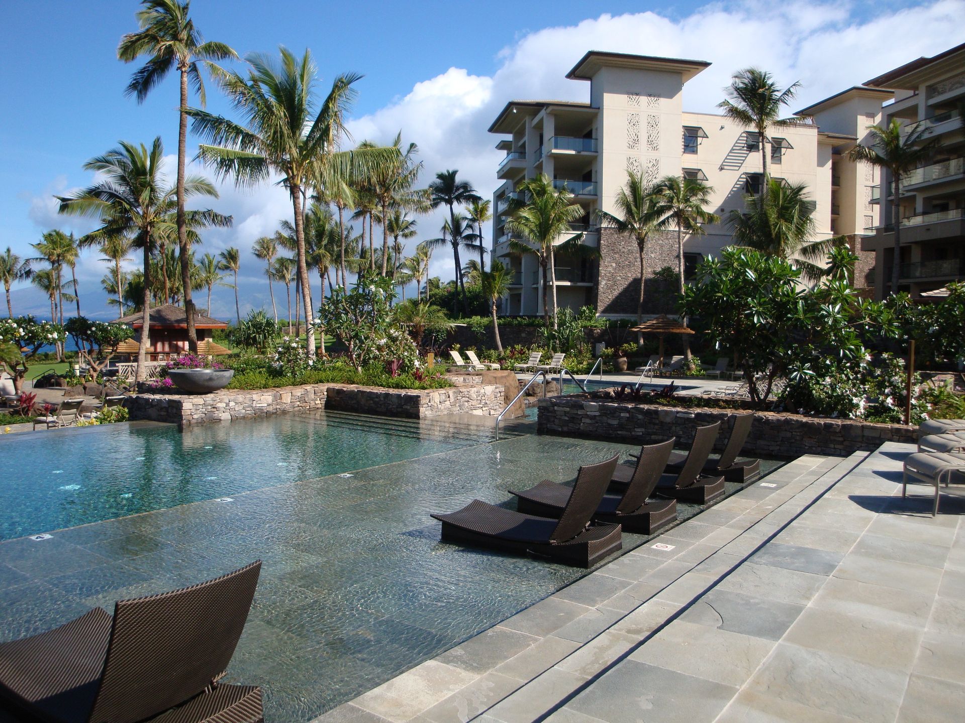 Ritz Carlton Kapalua Adult Pool - Oahu HI - Pacific AquaScapes