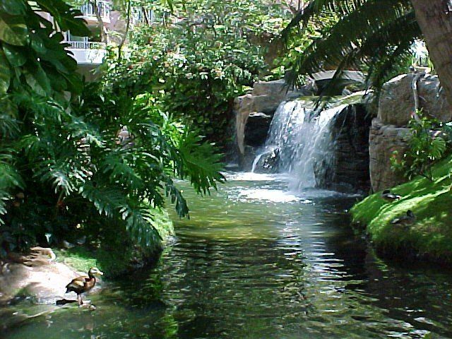 Westin Maui - Oahu HI - Pacific AquaScapes