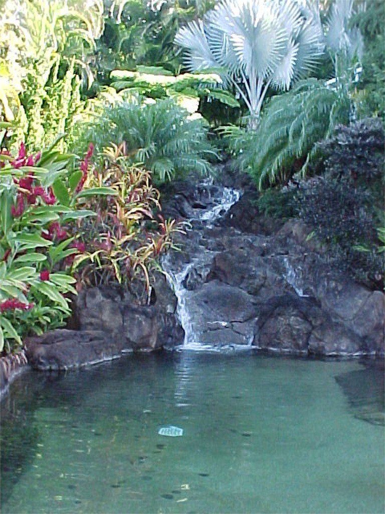 Wrixon Residence - Oahu HI - Pacific AquaScapes