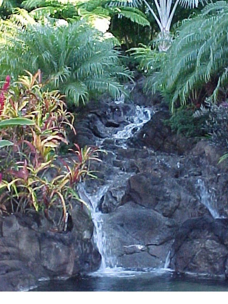 Wrixon Waterfall Stream - Oahu HI - Pacific AquaScapes