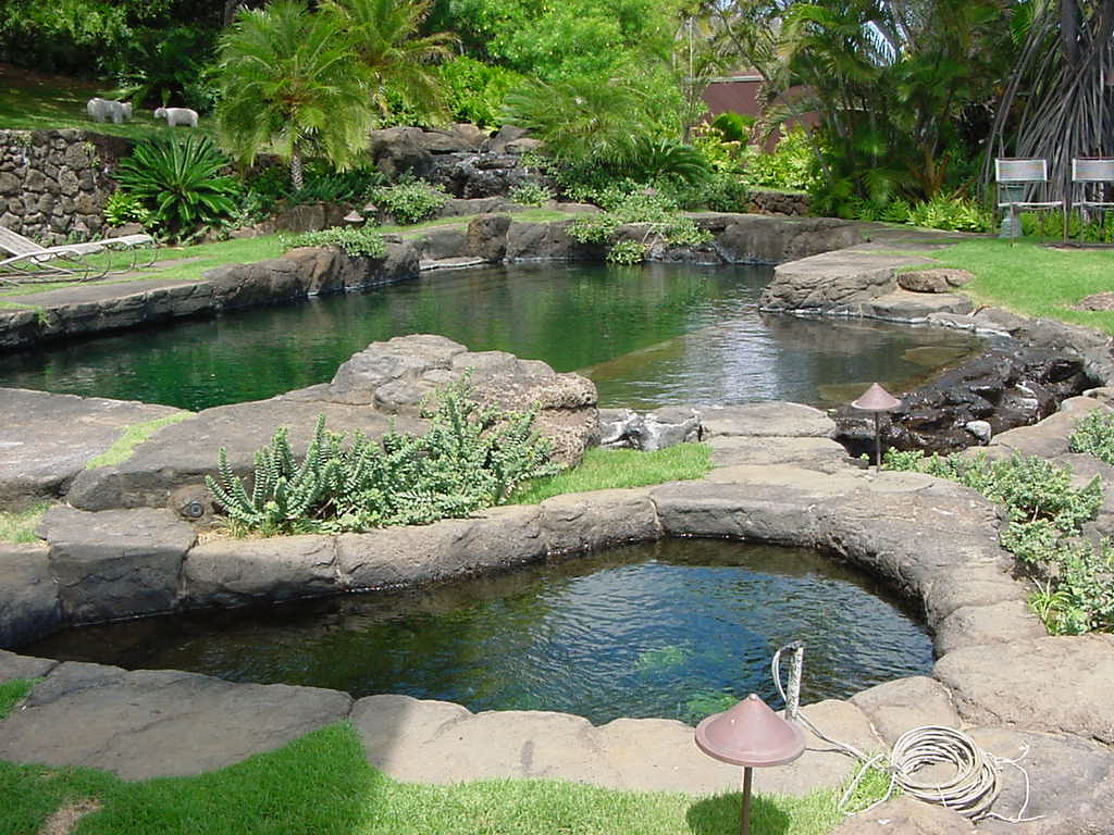 Yarbrough Nat Spa - Oahu HI - Pacific AquaScapes