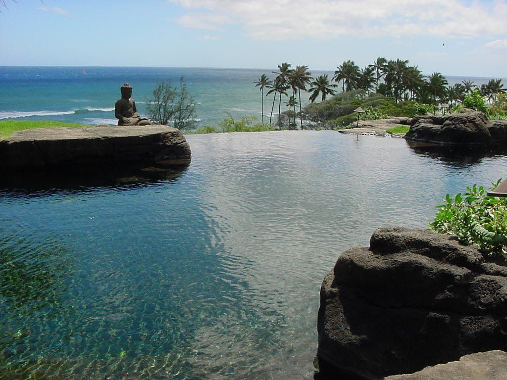 Yarbrough Neg Edge - Oahu HI - Pacific AquaScapes