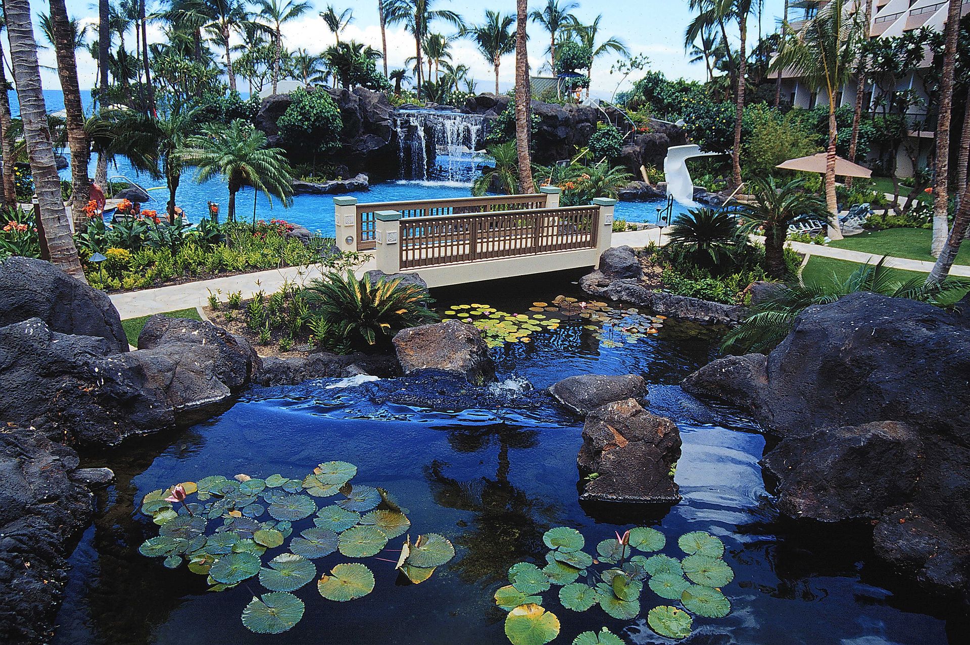 Pond Experiences - Oahu HI - Pacific AquaScapes