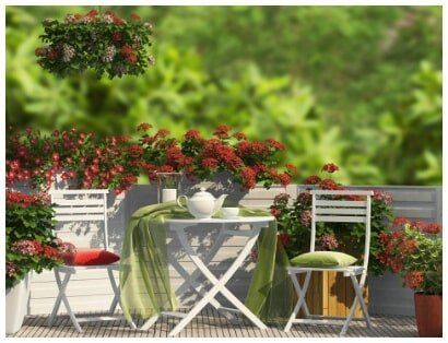 Lawn, Garden & Outdoor - Los Gatos CA 95032 Lawn, Garden & Outdoor - Los Gatos CA 95032