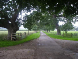 Driveway