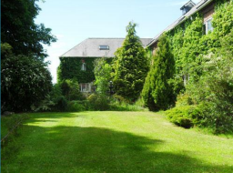 Lawn