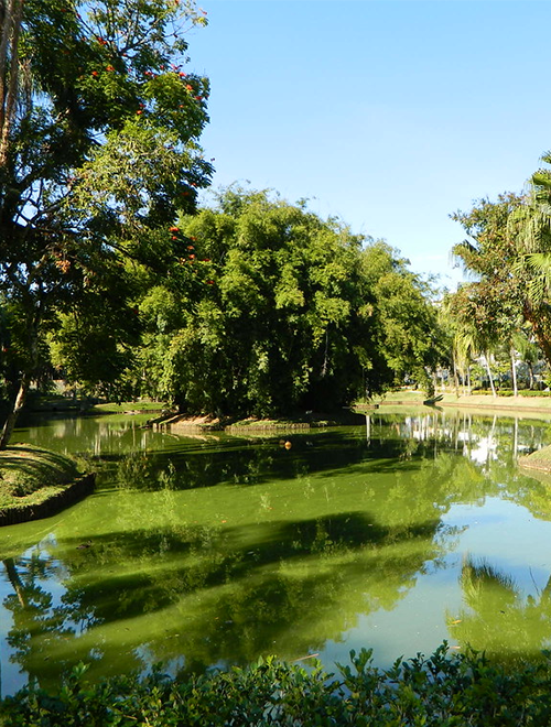 parque da lajinha juiz de fora