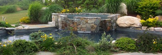Beautiful Plants — Providence, RI — S & A Construction Inc.