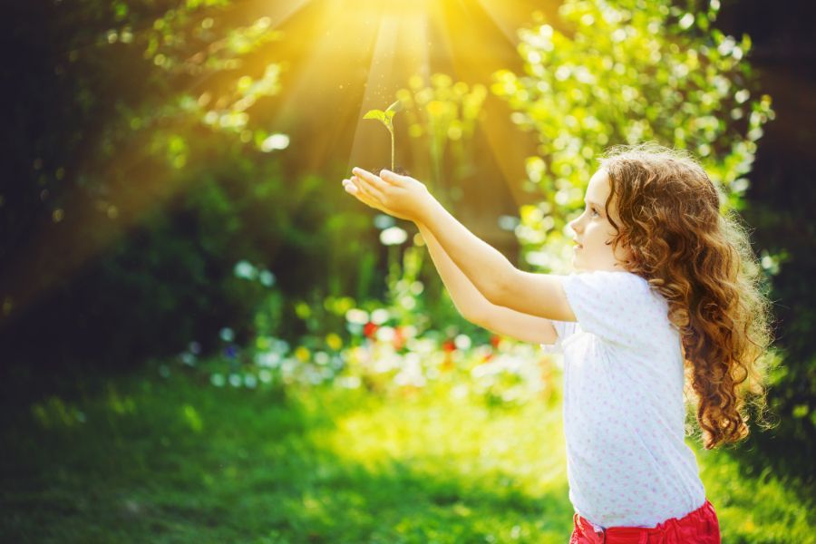 Rispetto dell'ambiente e servizi d'ecologia