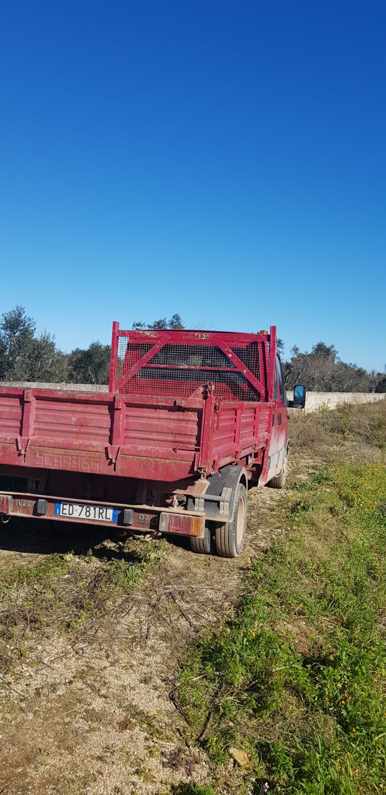 Camion con cassone aperto