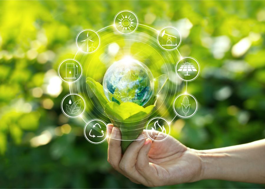 Ciclo ecologico rappresentato graficamente