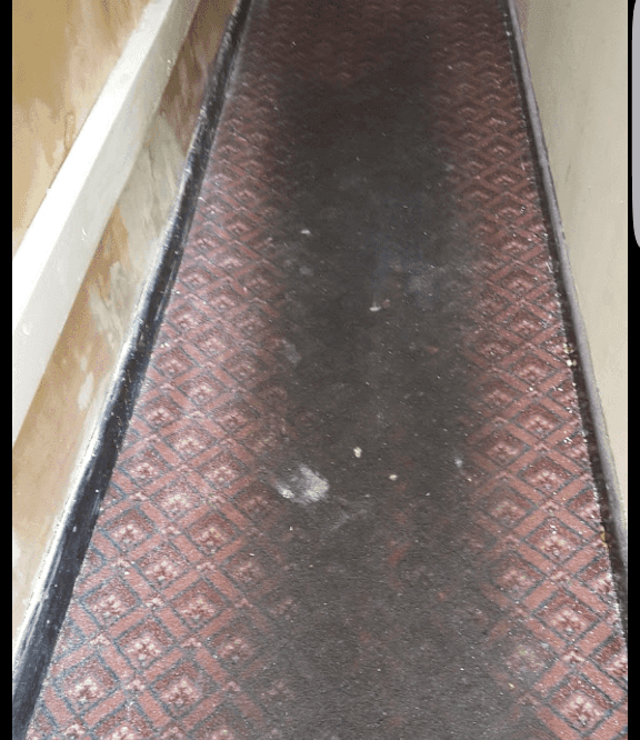 rug before cleaning