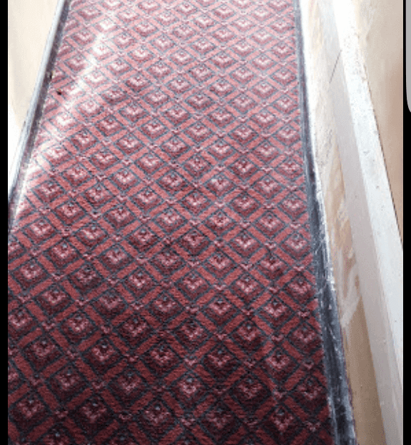 rug after cleaning