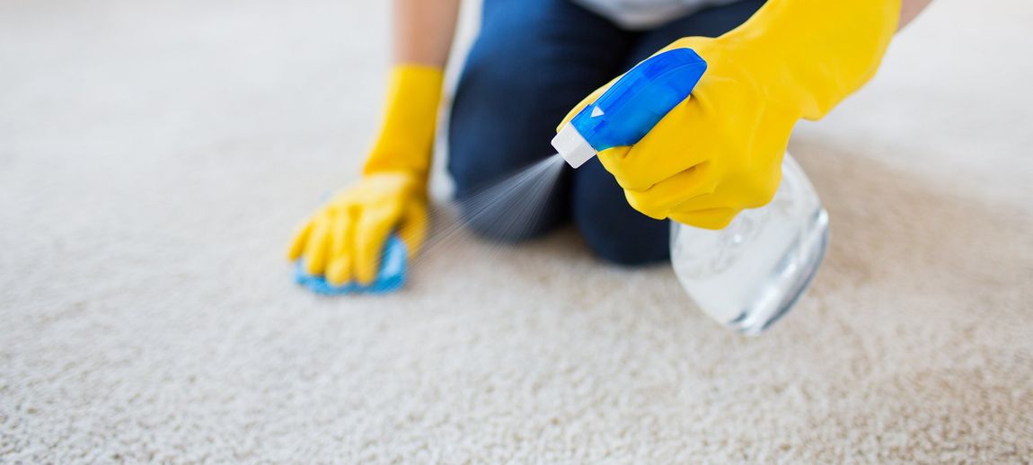 carpet cleaning by a professional