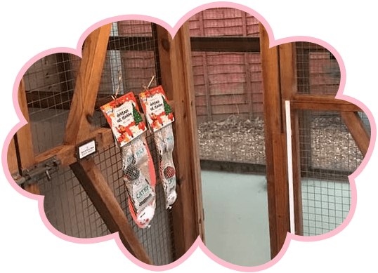 Cat food