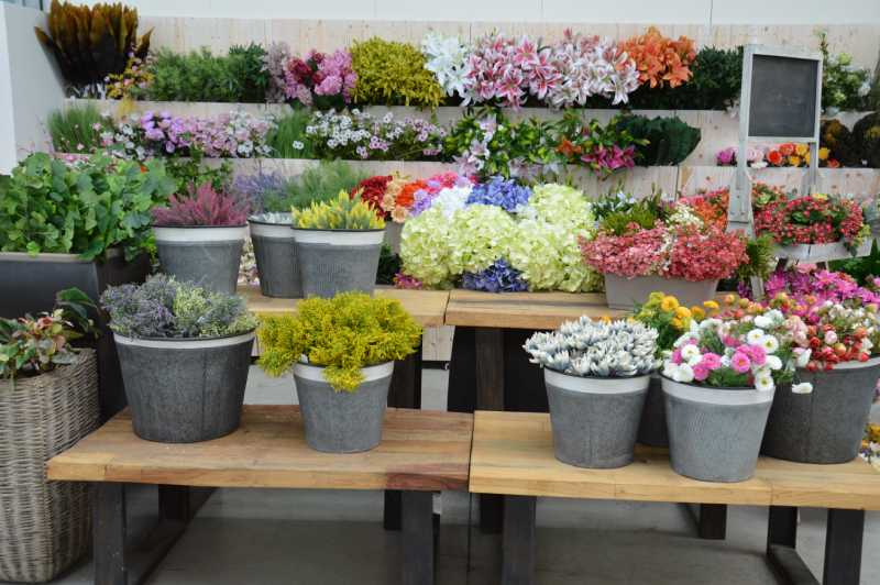 fiori recisi