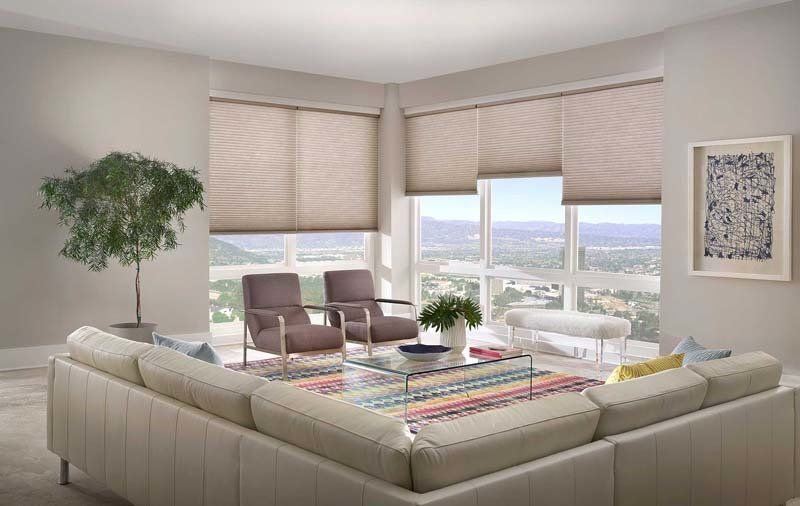 panel track blinds