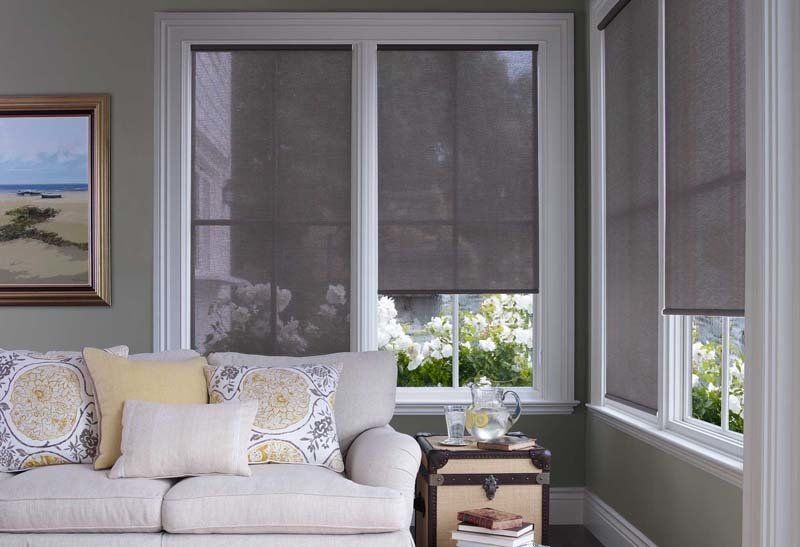 solar shades