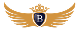 BUSINESSXBRIDGE UTILITY ADVISOR