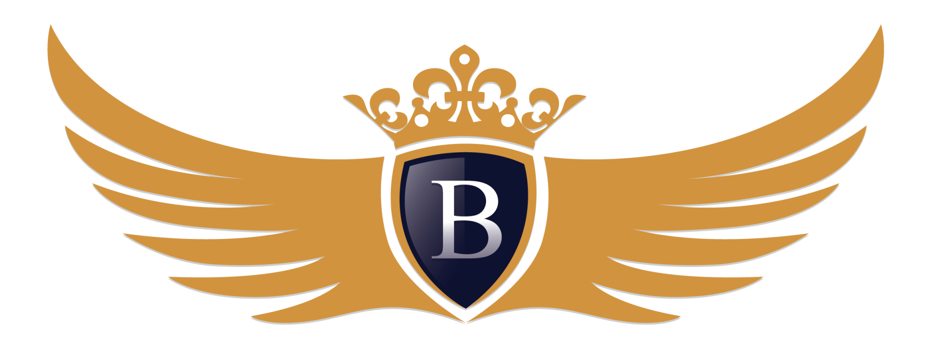BUSINESSXBRIDGE UTILITY ADVISOR