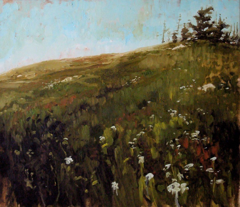 Adjunct Hillside