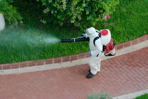 Pest Control — Harrisonburg, VA — Minnick Termite & Pest Control Inc