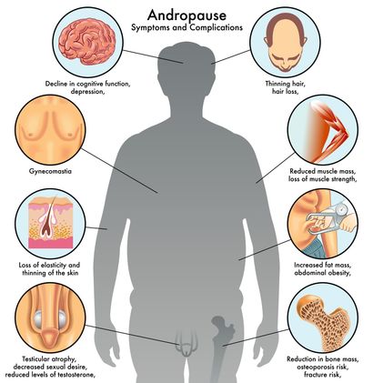 andropause in men