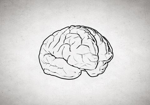 high testosterone leads to better memory