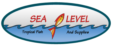 Sea Level Sea Level