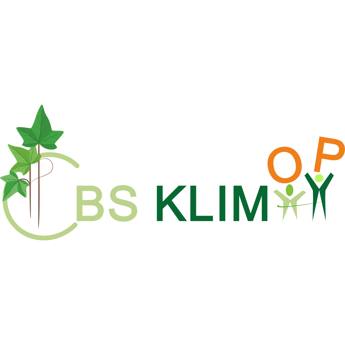 Een logo voor een bedrijf genaamd bs klimax