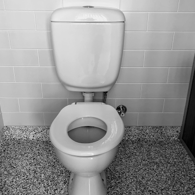White Toilet Against Tiled Wall Speckled Floor — Ian Stanley Plumbing In Avoca, QLD