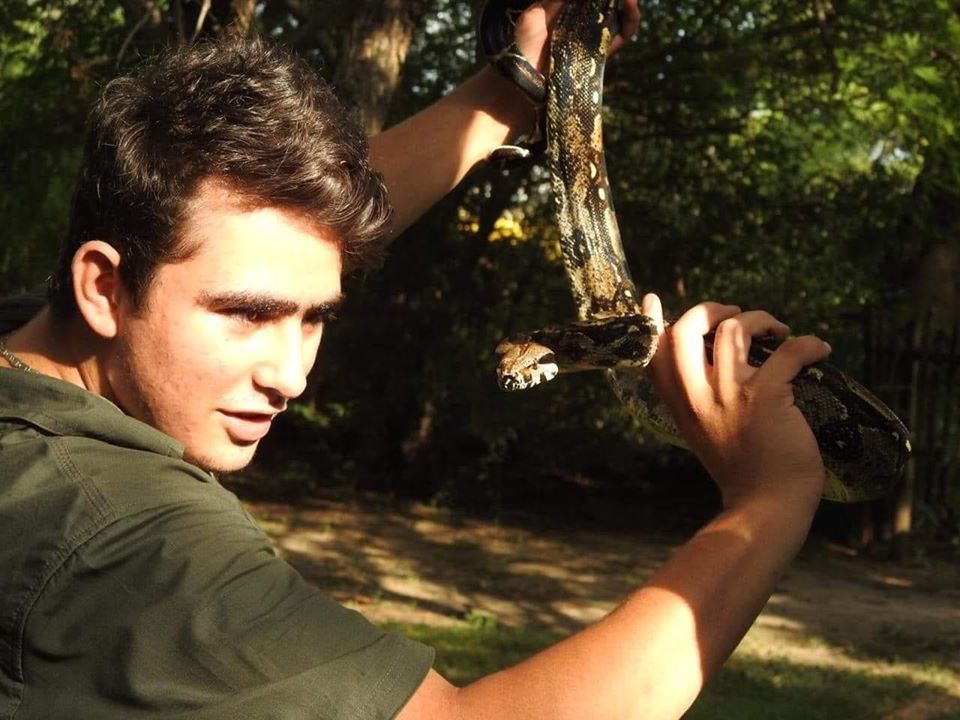 Animal