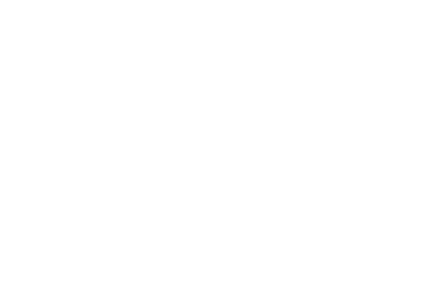 bull icon