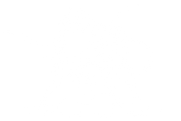 bull icon