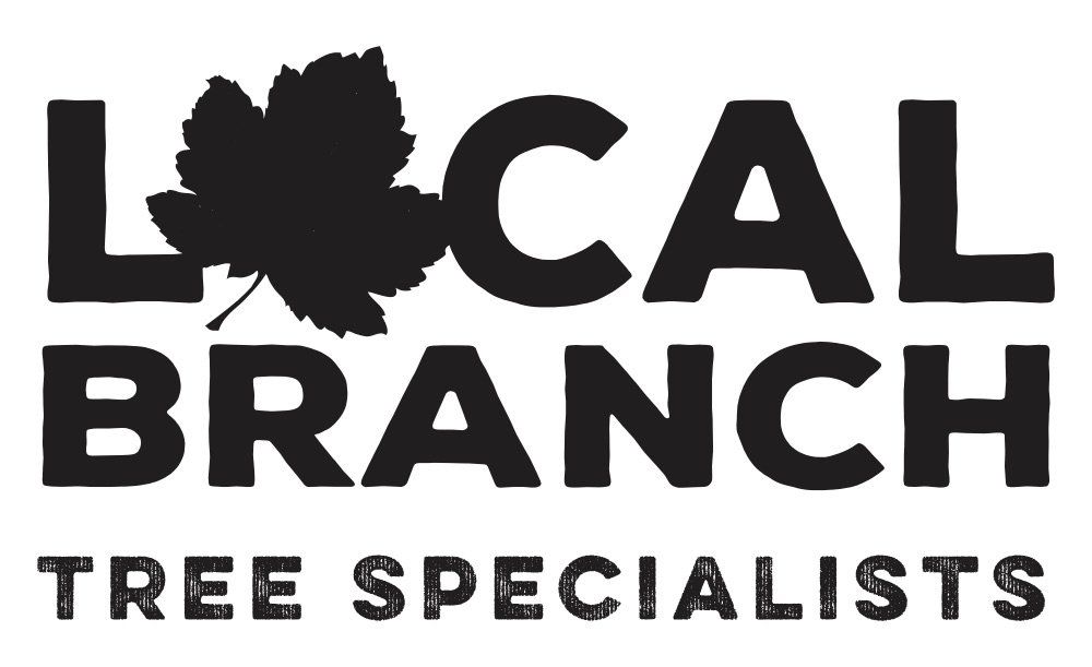 local branch