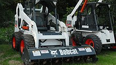 bobcat