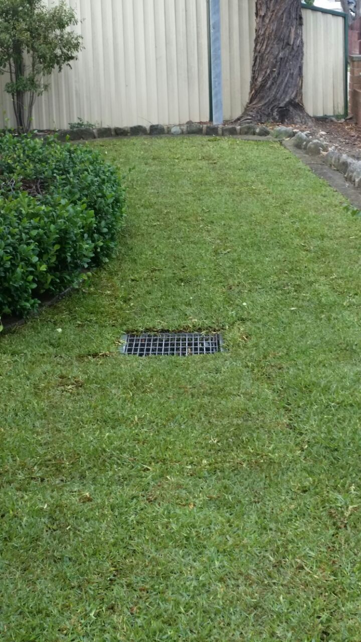 A lush green lawn with a drain in the middle of it.