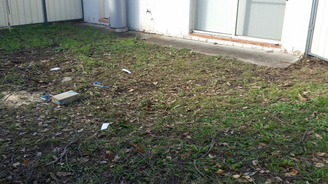 There is a lot of grass and leaves in the backyard.