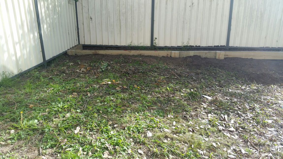 There is a white fence in the background and a lot of grass in the foreground.