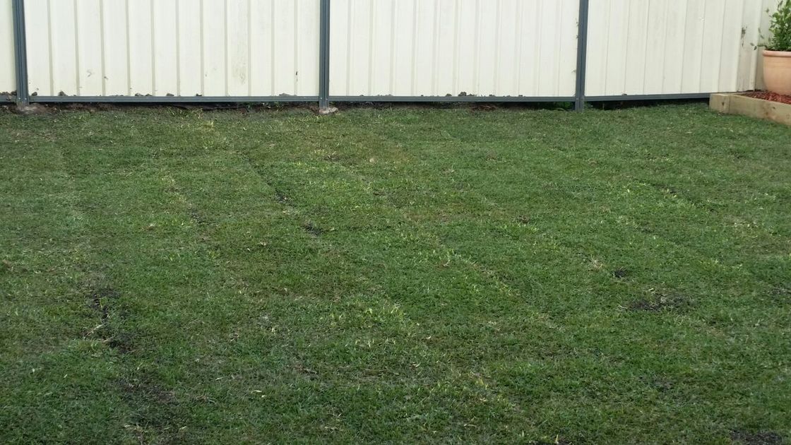 gardening services in Sydney area
