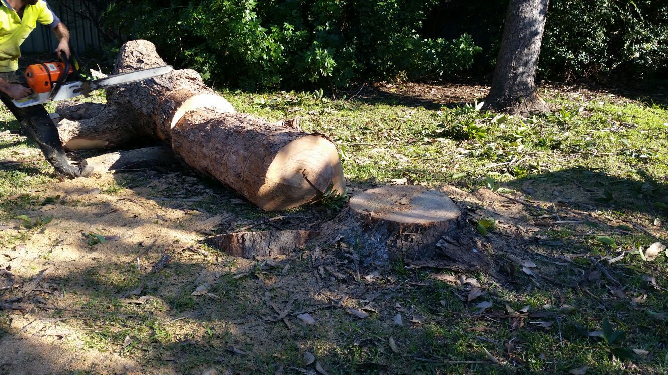 landscaping designing service