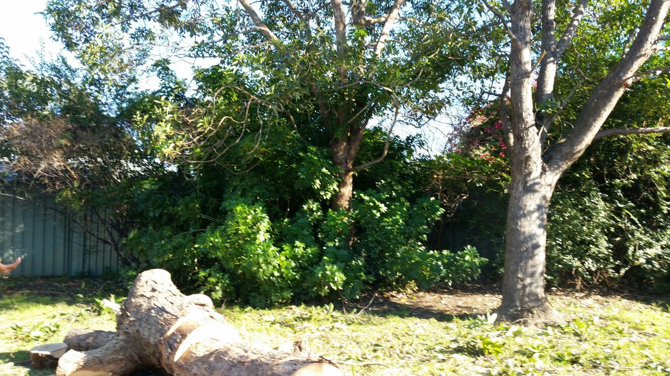 landscaping designing services