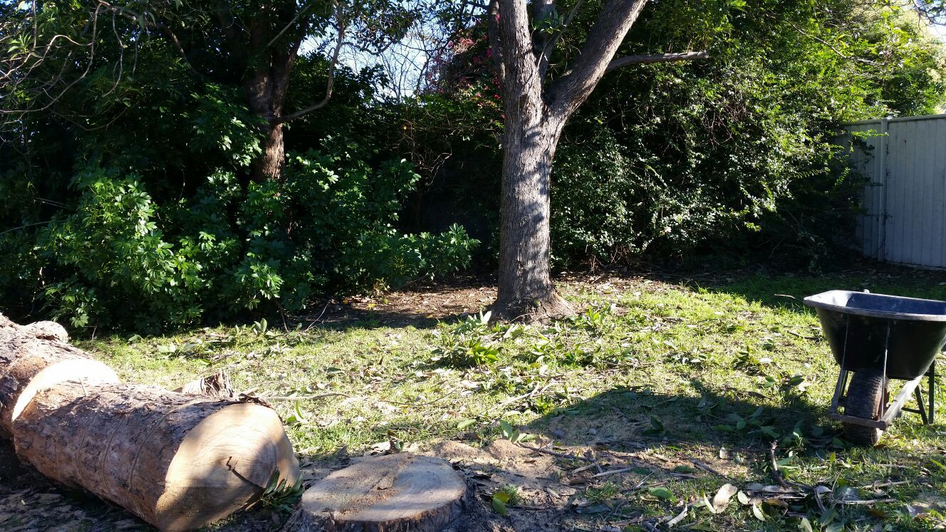 landscaping designing services