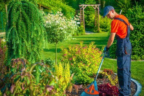 gardening