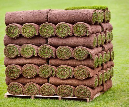 landscaping service
