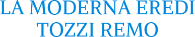 LA MODERNA EREDI TOZZI REMO - LOGO