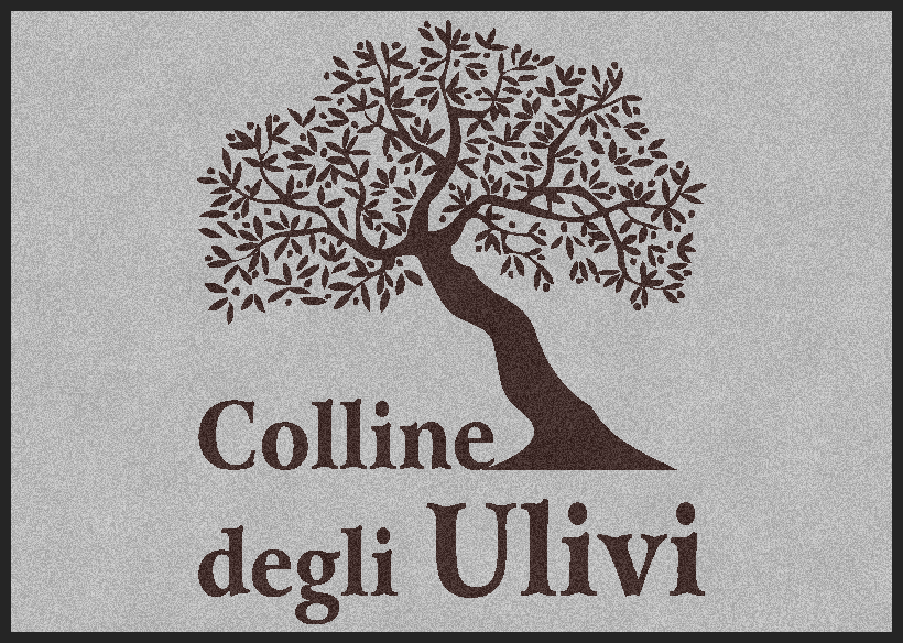 Logo con albero marrone e la scritta “Colline degli Ulivi” su sfondo chiaro