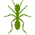 Haydee's Pest-Free Management